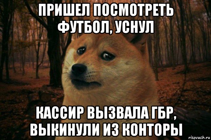 пришел посмотреть футбол, уснул кассир вызвала гбр, выкинули из конторы, Мем SAD DOGE