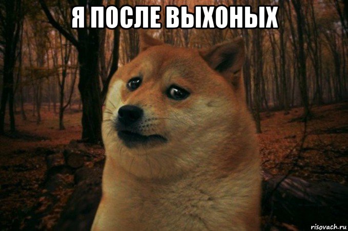 я после выхоных , Мем SAD DOGE