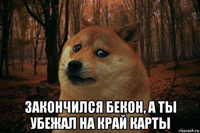  закончился бекон, а ты убежал на край карты, Мем SAD DOGE