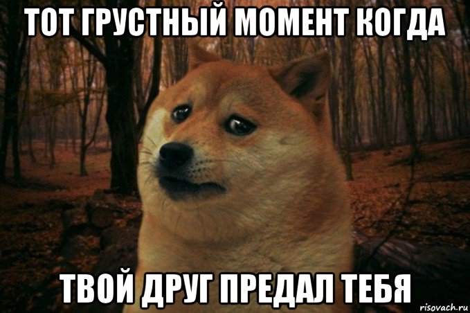 тот грустный момент когда твой друг предал тебя, Мем SAD DOGE