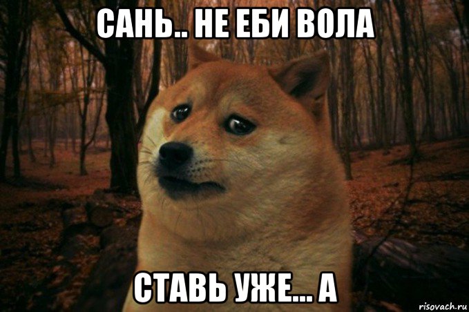 сань.. не еби вола ставь уже... а, Мем SAD DOGE