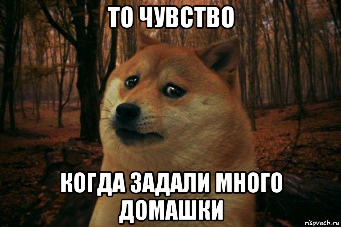 то чувство когда задали много домашки, Мем SAD DOGE