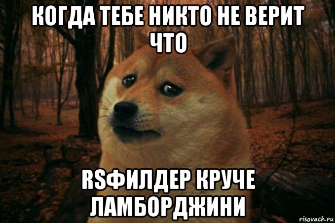 когда тебе никто не верит что rsфилдер круче ламборджини, Мем SAD DOGE