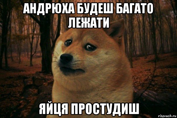 андрюха будеш багато лежати яйця простудиш, Мем SAD DOGE