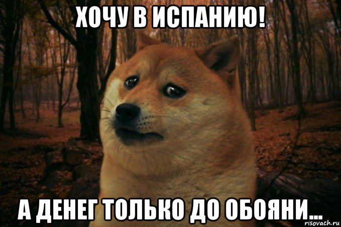 хочу в испанию! а денег только до обояни..., Мем SAD DOGE