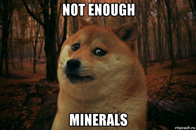 not enough minerals, Мем SAD DOGE