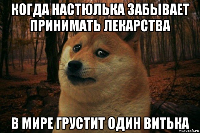 когда настюлька забывает принимать лекарства в мире грустит один витька, Мем SAD DOGE