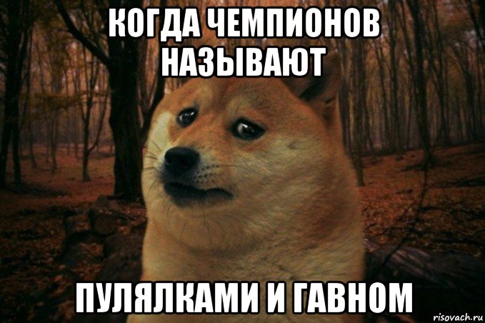 когда чемпионов называют пулялками и гавном, Мем SAD DOGE