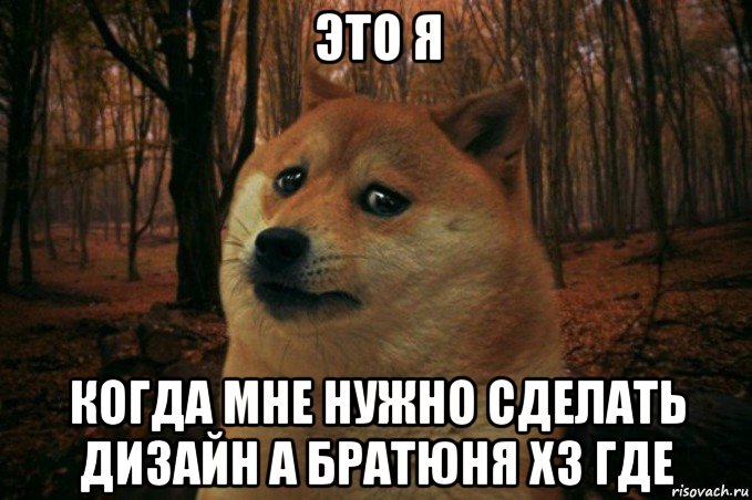 это я когда мне нужно сделать дизайн а братюня хз где, Мем SAD DOGE