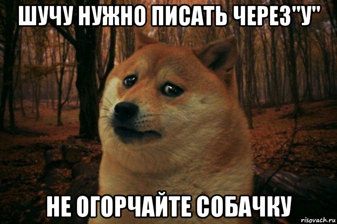 шучу нужно писать через"у" не огорчайте собачку, Мем SAD DOGE