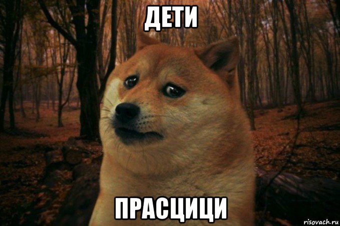 дети прасцици, Мем SAD DOGE