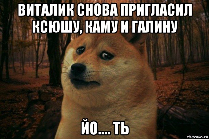 виталик снова пригласил ксюшу, каму и галину йо.... ть, Мем SAD DOGE