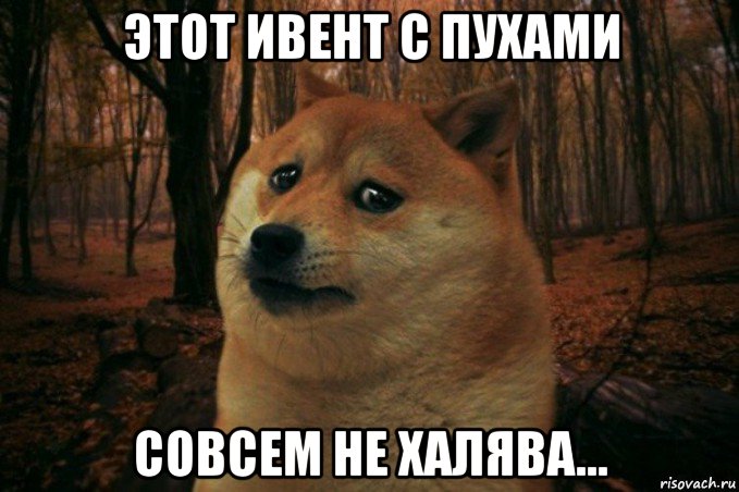 этот ивент с пухами совсем не халява..., Мем SAD DOGE