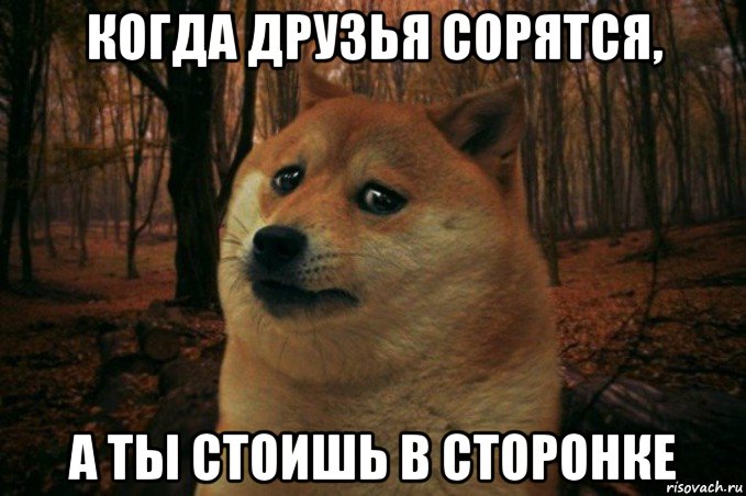 когда друзья сорятся, а ты стоишь в сторонке, Мем SAD DOGE