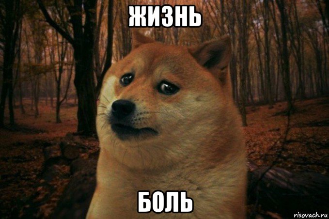 жизнь боль, Мем SAD DOGE