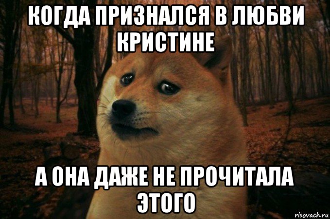 когда признался в любви кристине а она даже не прочитала этого, Мем SAD DOGE