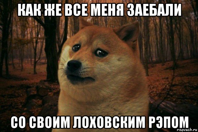 как же все меня заебали со своим лоховским рэпом, Мем SAD DOGE