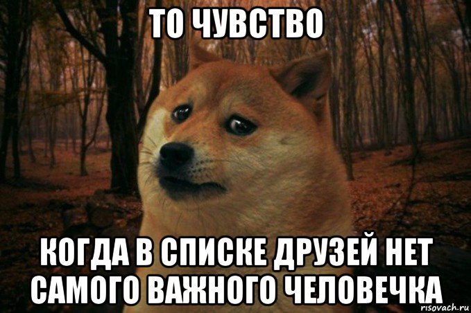 то чувство когда в списке друзей нет самого важного человечка, Мем SAD DOGE