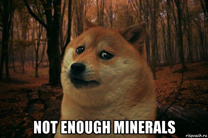  not enough minerals, Мем SAD DOGE