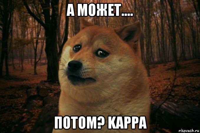 а может.... потом? kappa, Мем SAD DOGE