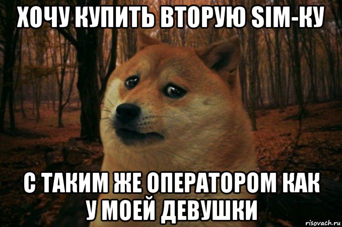 хочу купить вторую sim-ку с таким же оператором как у моей девушки, Мем SAD DOGE