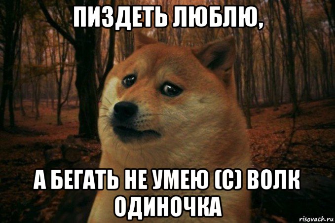 пиздеть люблю, а бегать не умею (с) волк одиночка, Мем SAD DOGE