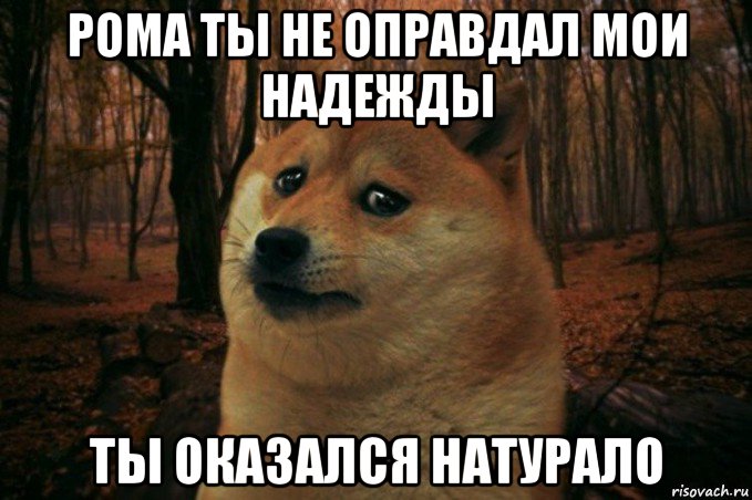 рома ты не оправдал мои надежды ты оказался натурало, Мем SAD DOGE