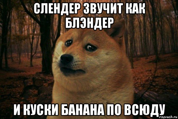 слендер звучит как блэндер и куски банана по всюду, Мем SAD DOGE