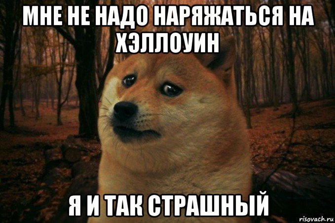 мне не надо наряжаться на хэллоуин я и так страшный, Мем SAD DOGE