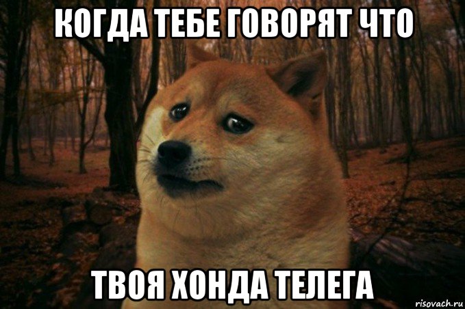 когда тебе говорят что твоя хонда телега, Мем SAD DOGE