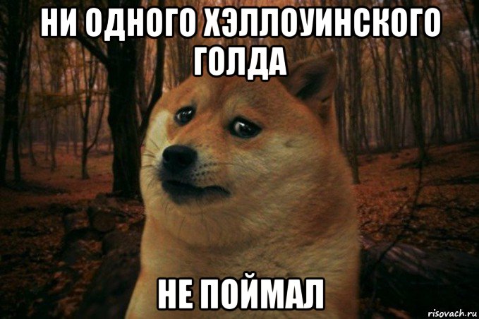 ни одного хэллоуинского голда не поймал, Мем SAD DOGE