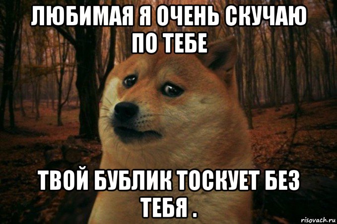 любимая я очень скучаю по тебе твой бублик тоскует без тебя ., Мем SAD DOGE