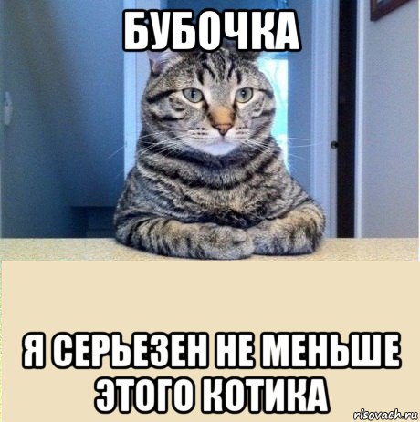 бубочка я серьезен не меньше этого котика