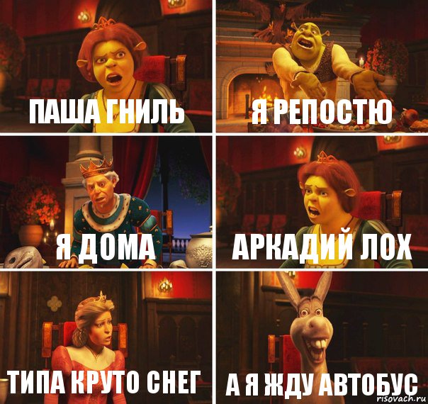 Паша гниль Я репостю Я дома Аркадий лох Типа круто снег А я жду автобус, Комикс  Шрек Фиона Гарольд Осел