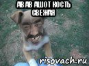 ав ав ашот кость свежая , Мем Собака АШОТ