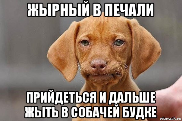жырный в печали прийдеться и дальше жыть в собачей будке