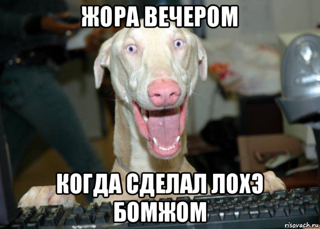 жора вечером когда сделал лохэ бомжом