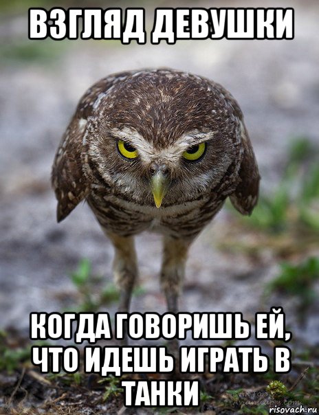 взгляд девушки когда говоришь ей, что идешь играть в танки, Мем сова на полном серьезе