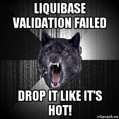 liquibase validation failed drop it like it's hot!, Мем Сумасшедший волк