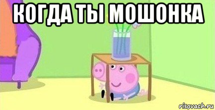 когда ты мошонка 