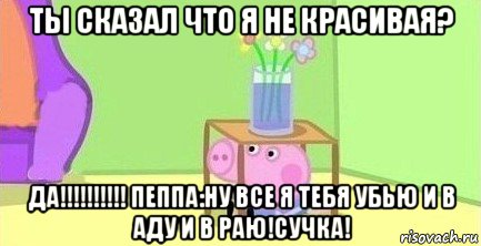 ты сказал что я не красивая? да!!!!!!!!!! пеппа:ну все я тебя убью и в аду и в раю!сучка!