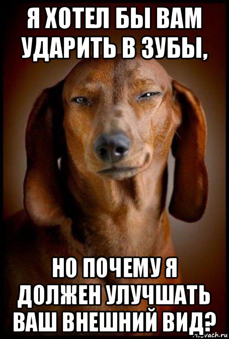 я хотел бы вам ударить в зубы, но почему я должен улучшать ваш внешний вид?, Мем Такса