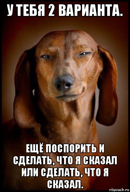 у тебя 2 варианта. ещё поспорить и сделать, что я сказал или сделать, что я сказал., Мем Такса