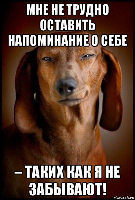 мне не трудно оставить напоминание о себе – таких как я не забывают!, Мем Такса