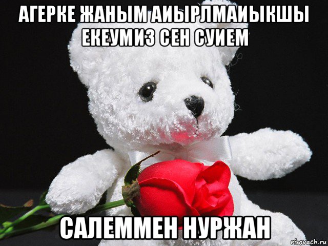 агерке жаным аиырлмаиыкшы екеумиз сен суием салеммен нуржан, Мем This teddy