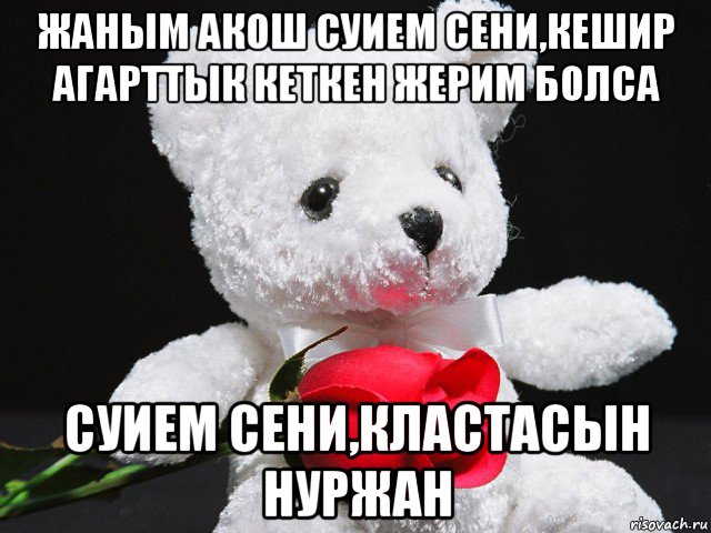 жаным акош суием сени,кешир агарттык кеткен жерим болса суием сени,кластасын нуржан, Мем This teddy