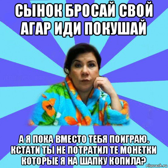 сынок бросай свой агар иди покушай а я пока вместо тебя поиграю. кстати ты не потратил те монетки которые я на шапку копила?, Мем типичная мама