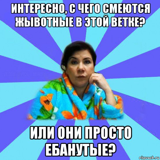 интересно, с чего смеются жывотные в этой ветке? или они просто ебанутые?, Мем типичная мама