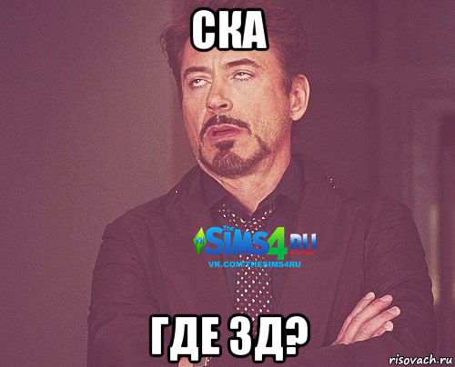 ска где 3д?, Мем Типичный подписчик The Sims 4 RU