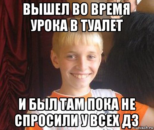 вышел во время урока в туалет и был там пока не спросили у всех дз, Мем Типичный школьник